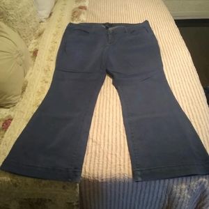 Torrid Jeans